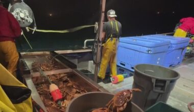 El Niño bringing changes to Northern California ocean conditions and marine life
