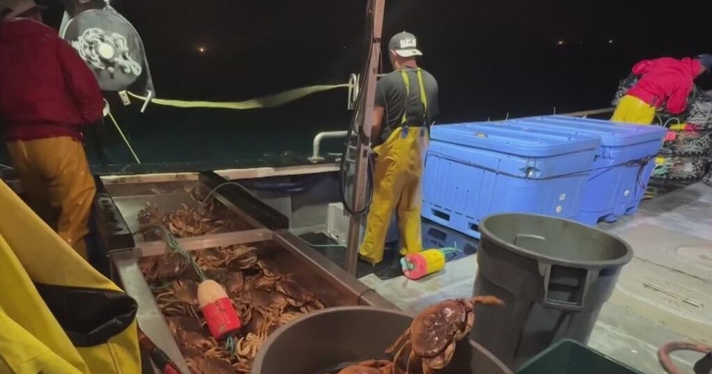 El Niño bringing changes to Northern California ocean conditions and marine life