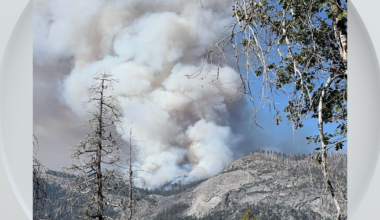 Dome Fire in Yosemite determined to have been caused by abandoned campfire
