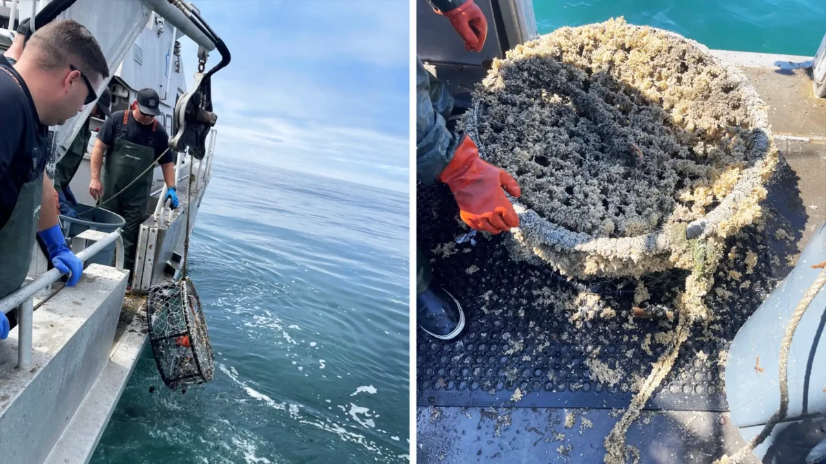 California Wildlife Authorities Punished Two Crab Fishermen for Littering Dozens of Traps