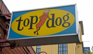 Top Dog in Berkeley regroups with second dog stand in downtown pool hall