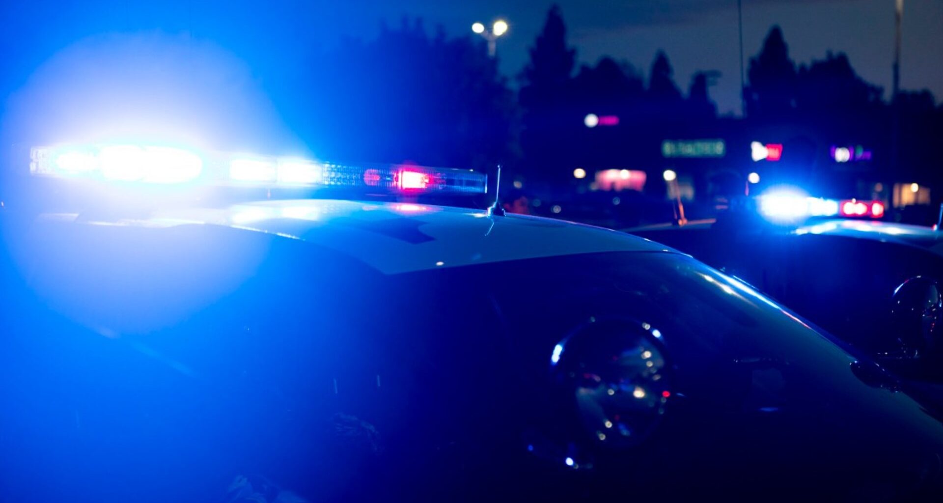 Sacramento police pursue reckless driver before K-9 apprehension