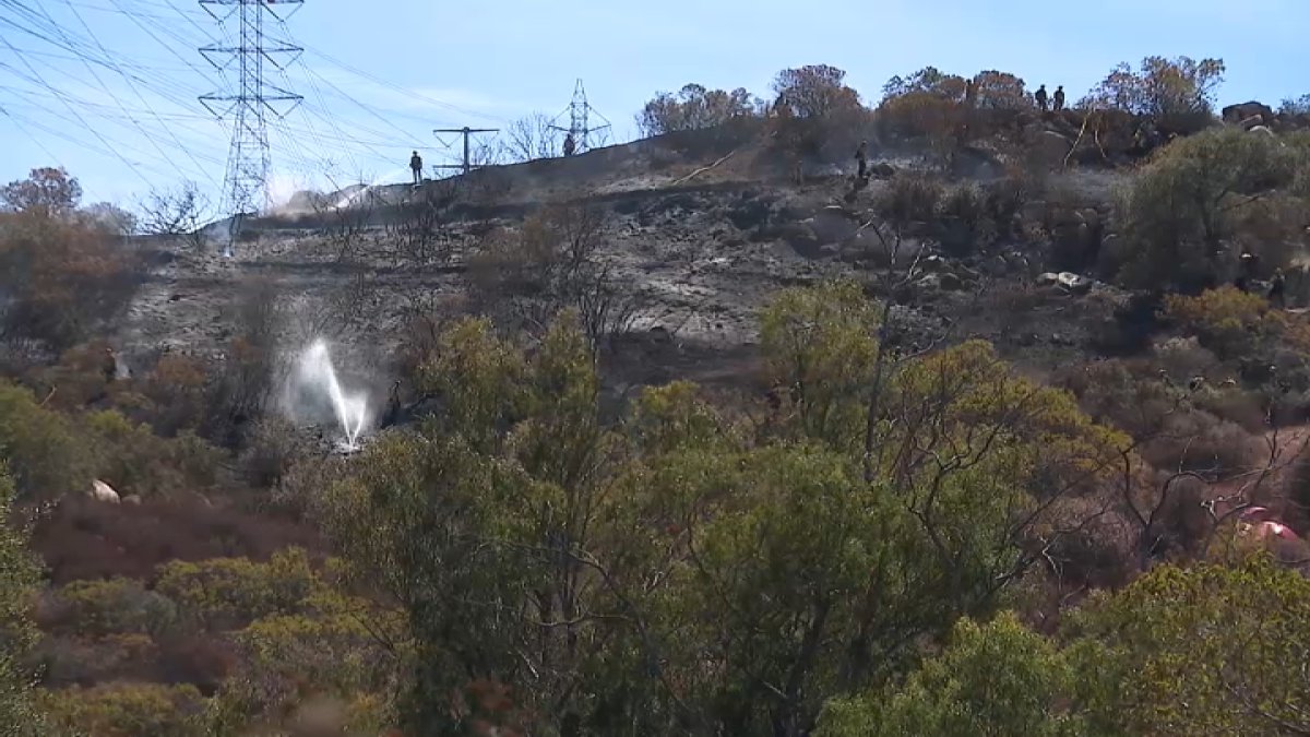 El Cajon vegetation fire contained between Old Bend and La Cresta – NBC 7 San Diego