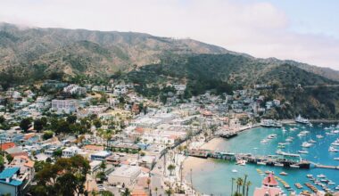 Op-Ed: Catalina's dirty energy secret is blowing into Long Beach