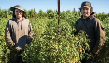 Can the Next Generation Afford to Farm in California?