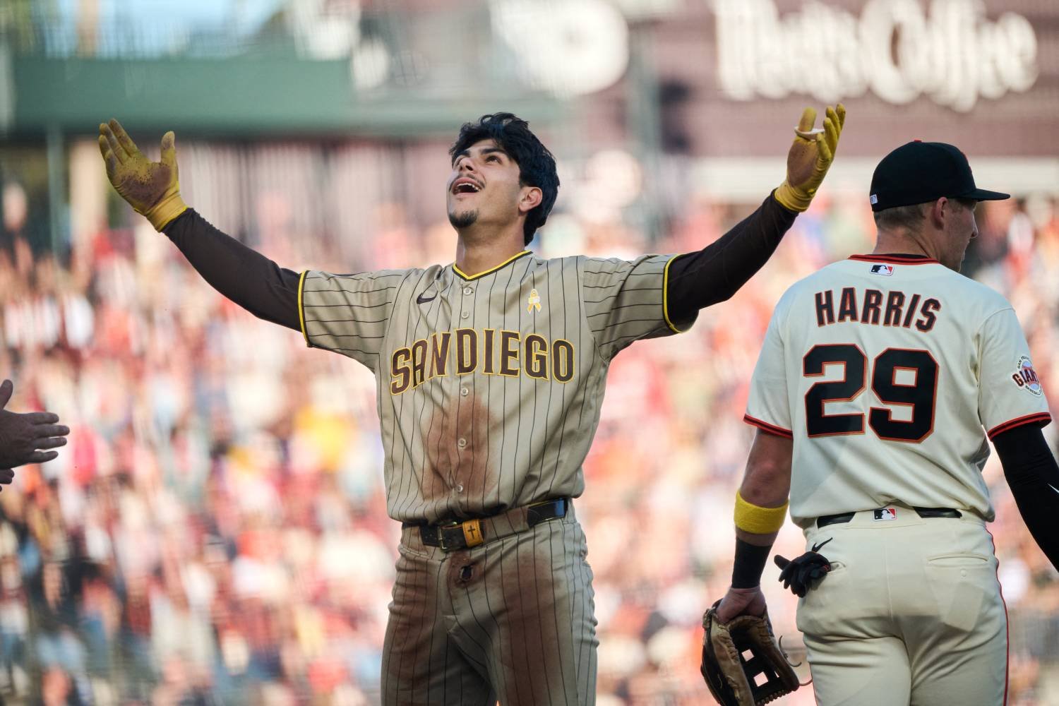 Padres Week in Review: A San Francisco Sweep Yields Wild-Card Breathing Room - Padres