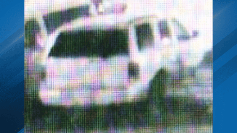 The Bakersfield Police Department is asking for the community’s help in identifying a couple accused of siphoning gas from a vehicle that belongs to the United States Marine Corps Recruitment Center. PHOTO: BPD