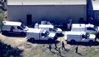 California woman accused of neglecting over 300 animals in unsanitary conditions