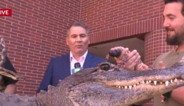 What to know about the 28th annual Sacramento Reptile Expo