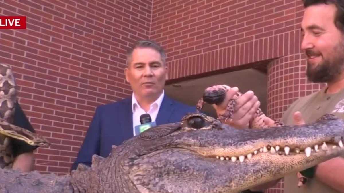 What to know about the 28th annual Sacramento Reptile Expo