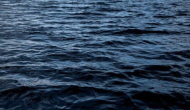 Placer County deputies recover body from Folsom Lake near Doton's Point