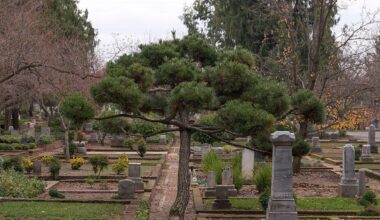 UC Davis finds 77 previously unknown burials near former Sacramento hospital cemetery