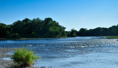 Man dies after found submerged in Sacramento County's American River