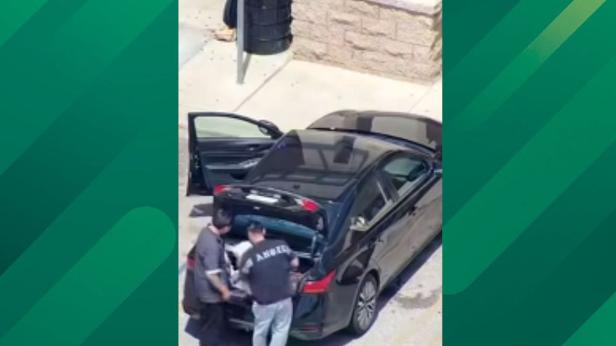 California Trio Attempts to Buy $1400 in Shoes, Finds Police Waiting for Them