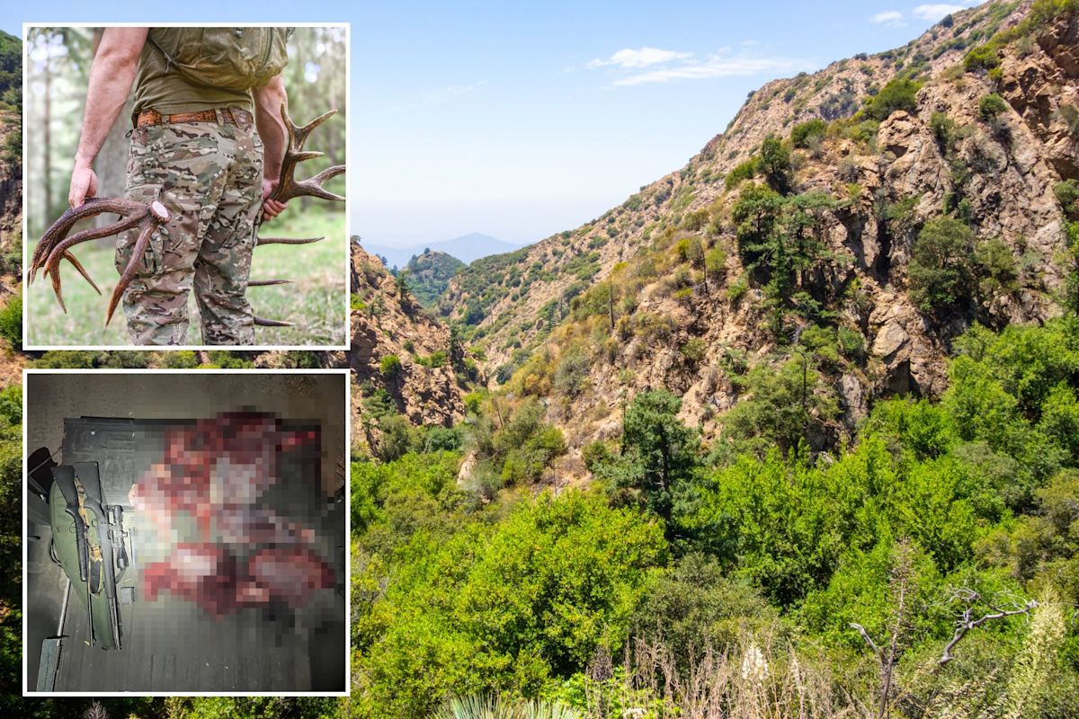 Blood-soaked California poachers arrested after cops make horrifying discovery