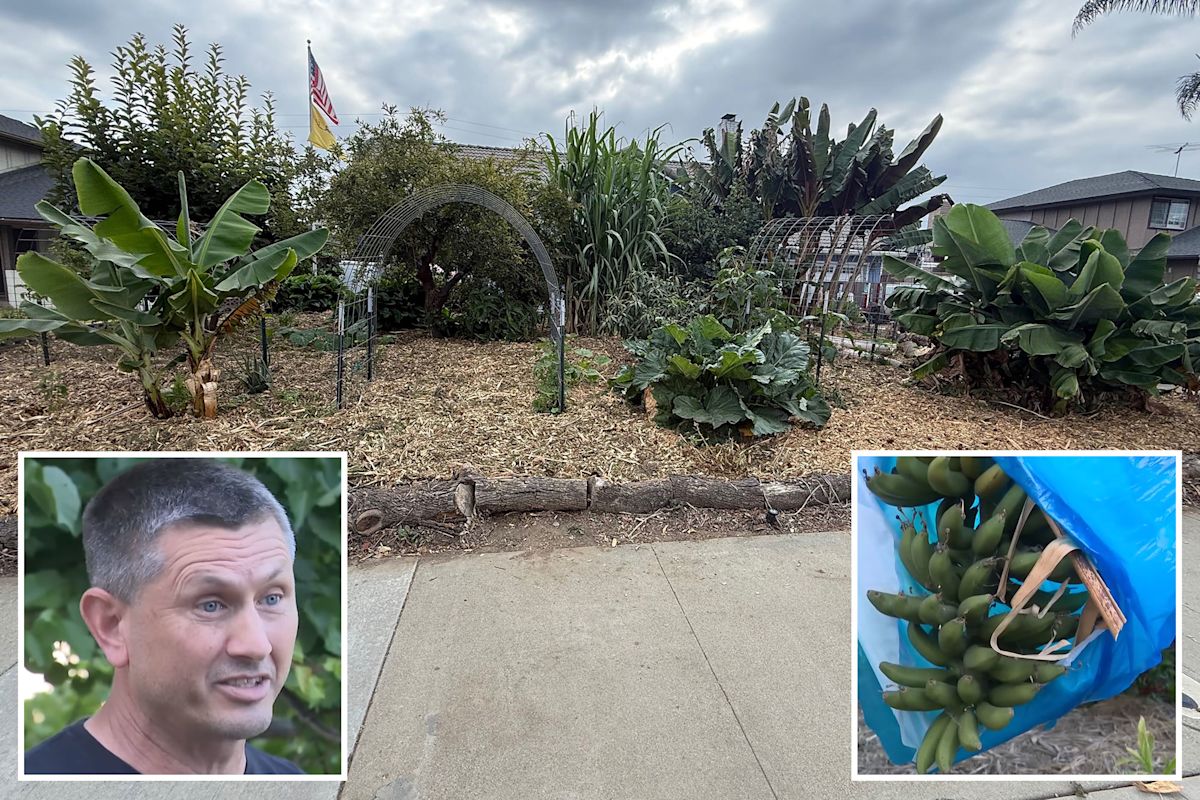 California man slams city after being fined for growing food at home: ‘I don’t trust the system’