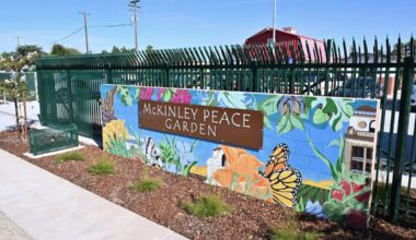 Fresno tears down vacant lot and puts up a paradise under Highway 41. See it now