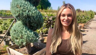 Family-owned garden nursery closing after 50+ years in Fresno. ‘Created out of love’