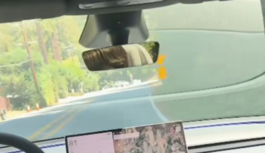 Tesla Test Drive Goes Wrong on Twisting California Highway, Leaving Honda Driver Seriously Hurt