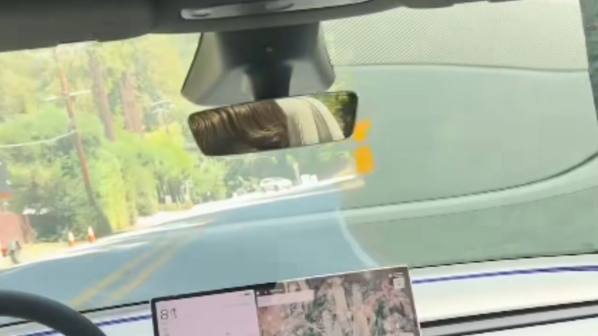 Tesla Test Drive Goes Wrong on Twisting California Highway, Leaving Honda Driver Seriously Hurt