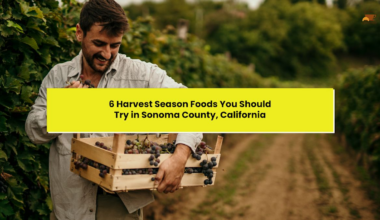 6 Harvest Season Foods You Should Try in Sonoma County, California