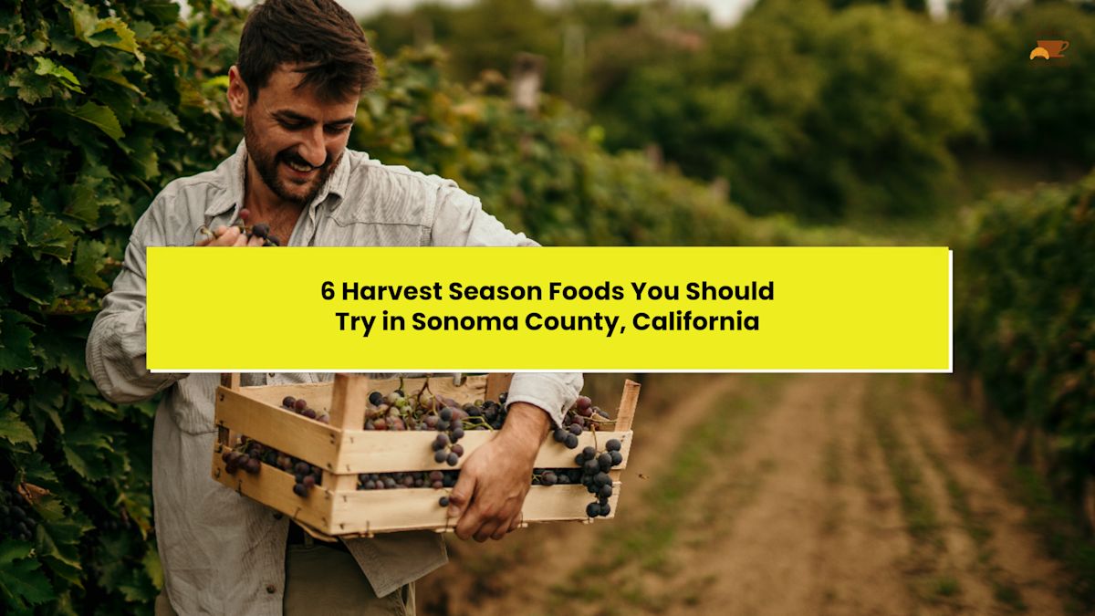 6 Harvest Season Foods You Should Try in Sonoma County, California