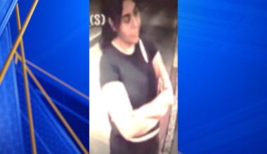 Bakersfield police searching for suspect involved in Panama Lane vehicle vandalism