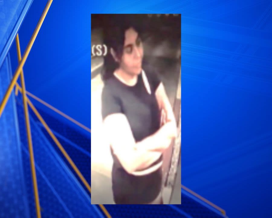 Bakersfield police searching for suspect involved in Panama Lane vehicle vandalism