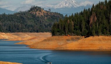 Dog survives jump into California lake; owner drowns trying to save it