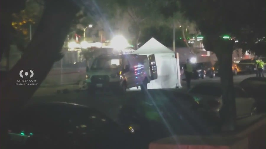 South Los Angeles crash leaves man dead, police say