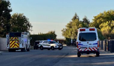 Children killed in small plane crash near Fresno