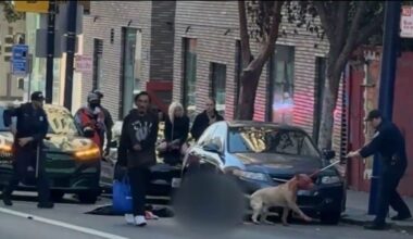 Woman critically injured in San Francisco dog attack