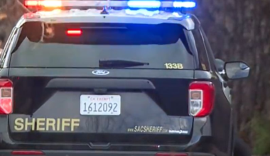 K9 takes down suspect after overnight car chase in downtown Sacramento