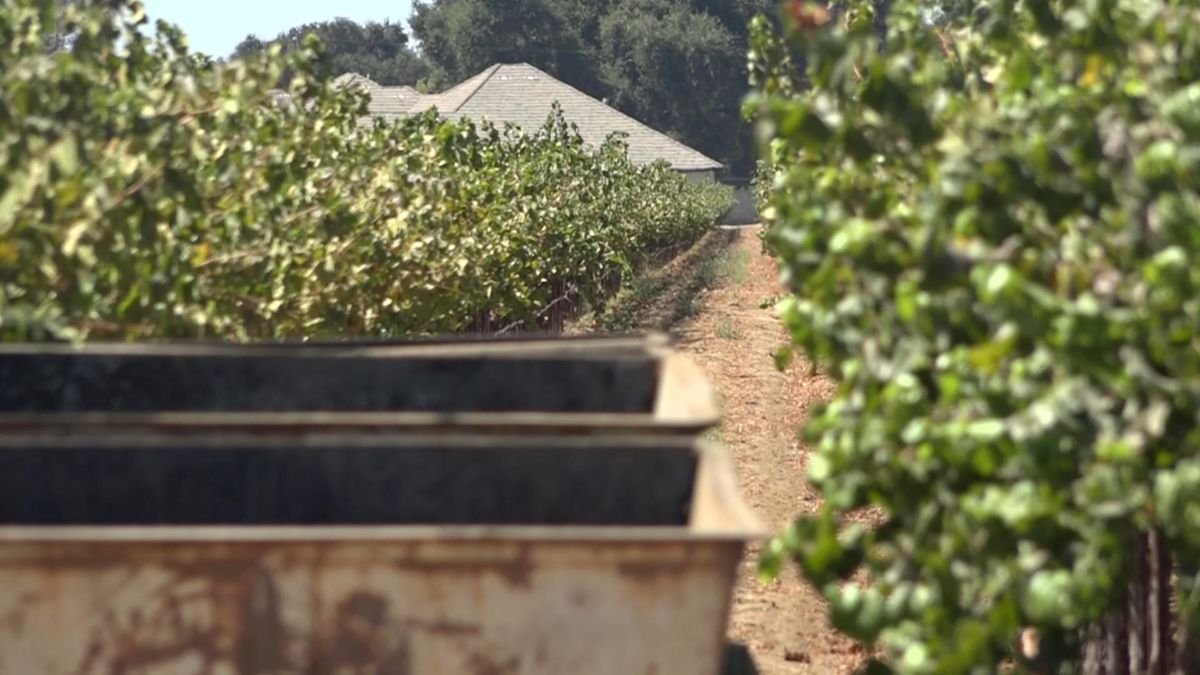 Diesel prices climb as California farmers face costly harvest season