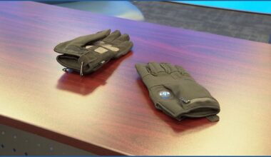 California bill banning “shock gloves” heads to Governor Newsom's desk