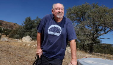 California is losing its oaks. One man is planting 10,000, including in tree-scarce Altadena