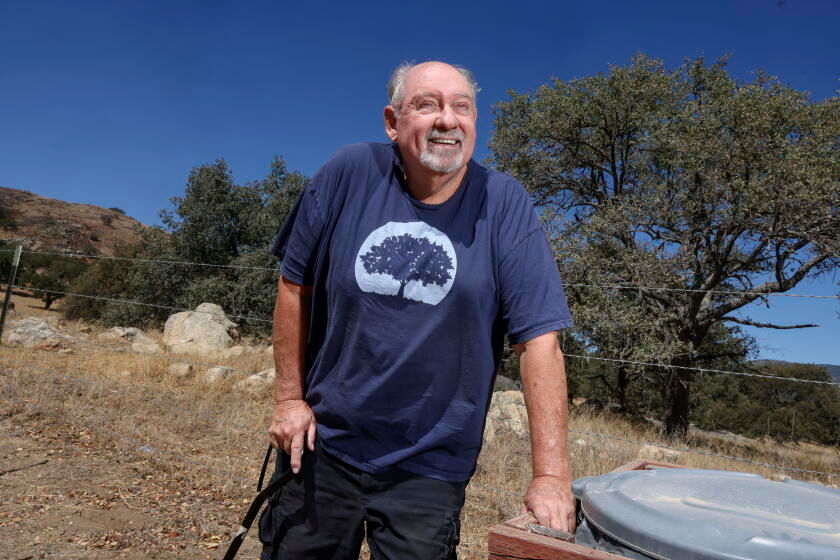 California is losing its oaks. One man is planting 10,000, including in tree-scarce Altadena