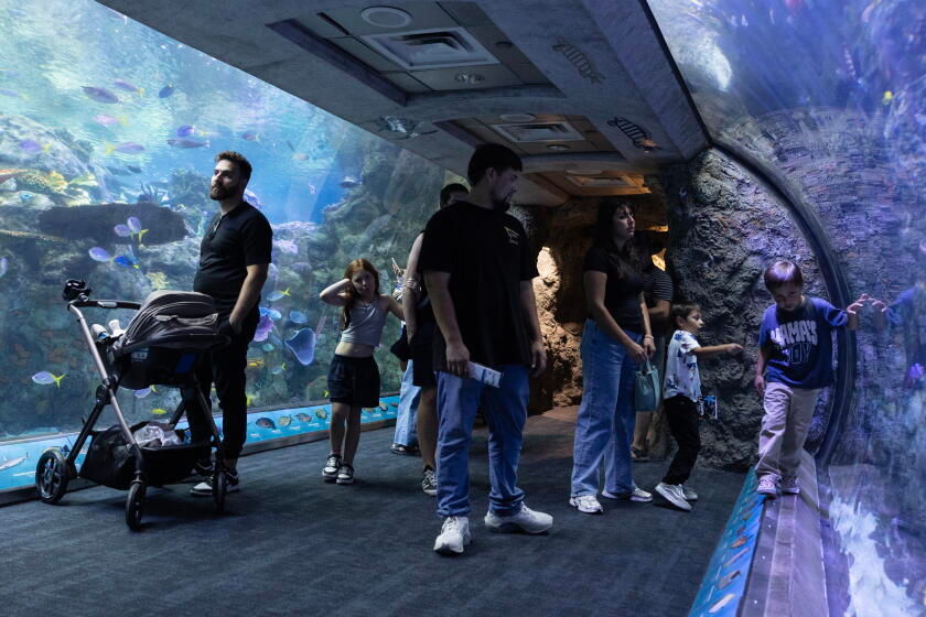 Long Beach aquarium takes in at least 500 animals rescued from wildlife traffickers