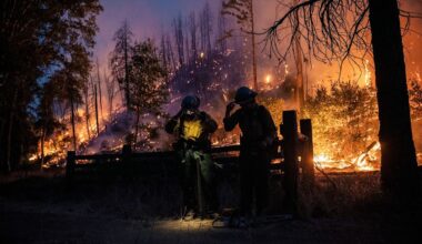 California Passes Nation’s First Insurance Requirements for Smoke Damage Claims