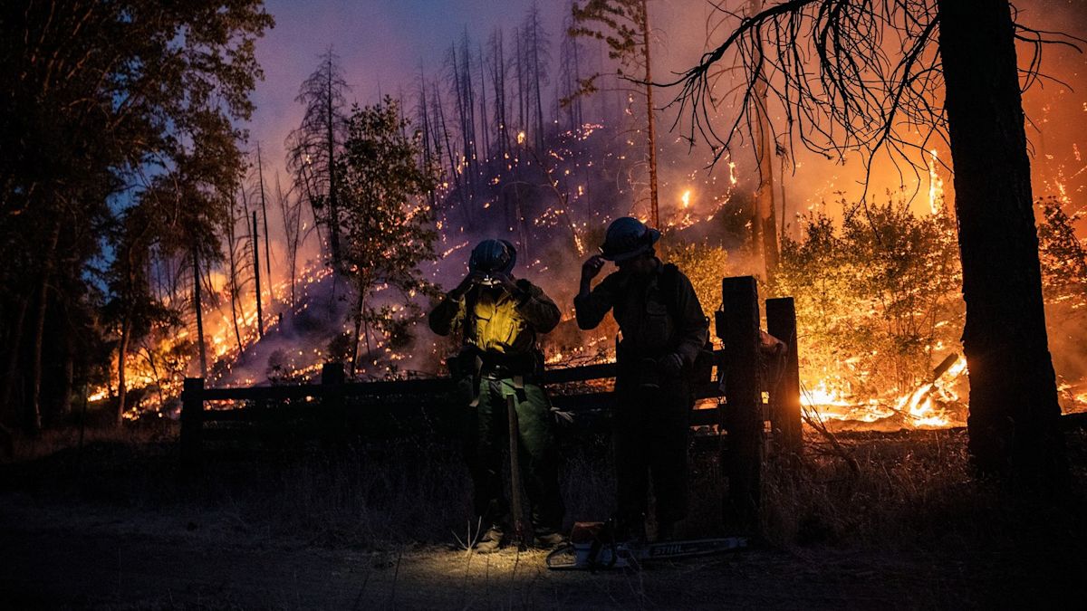 California Passes Nation’s First Insurance Requirements for Smoke Damage Claims