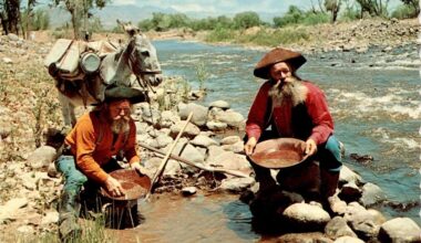 Who Owns California's Gold?