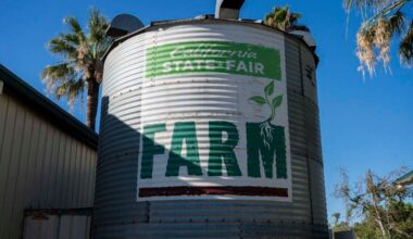 Experience local chefs, artists at Sacramento’s least-known farm this Thursday