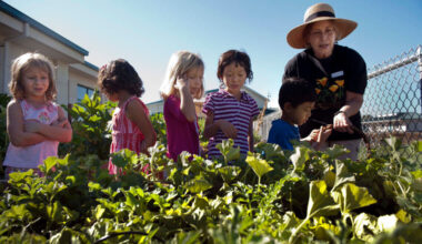 Prepping your fall garden? Learn about Sacramento’s frost dates, what to plant now