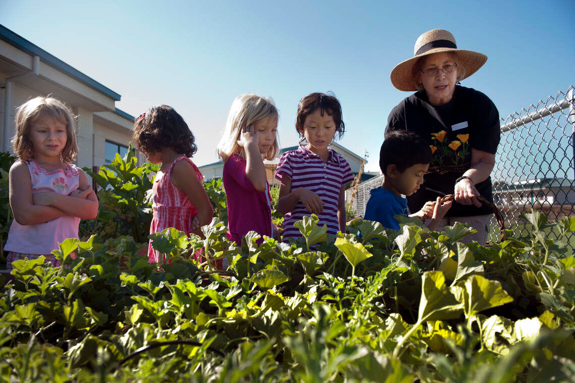 Prepping your fall garden? Learn about Sacramento’s frost dates, what to plant now