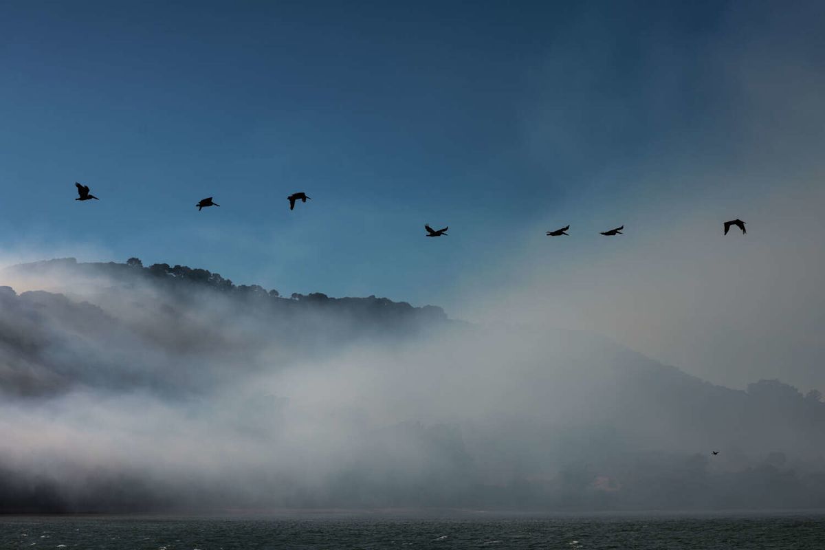 S.F. spared another smoky day as prescribed burn is called off
