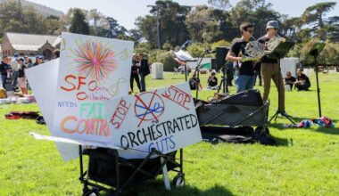 After strike cancels S.F.'s Opera in the Park, musicians entertain fans who show up