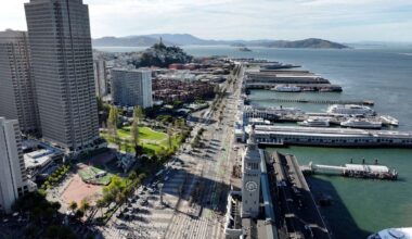 Nearly 100 trees to be removed from San Francisco's Embarcadero