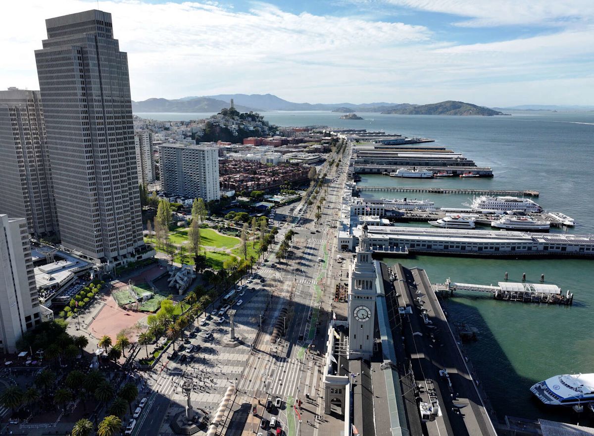 Nearly 100 trees to be removed from San Francisco's Embarcadero