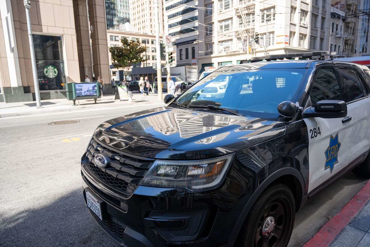 Brutal dog attack leaves woman with life-threatening injuries in San Francisco
