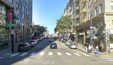 Woman who survived near-fatal San Francisco dog attack speaks out